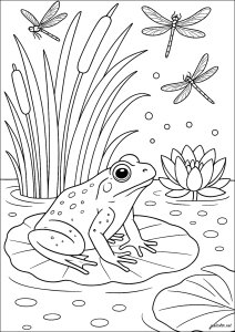 Sapo à beira da lagoa (Página para colorir para crianças)
