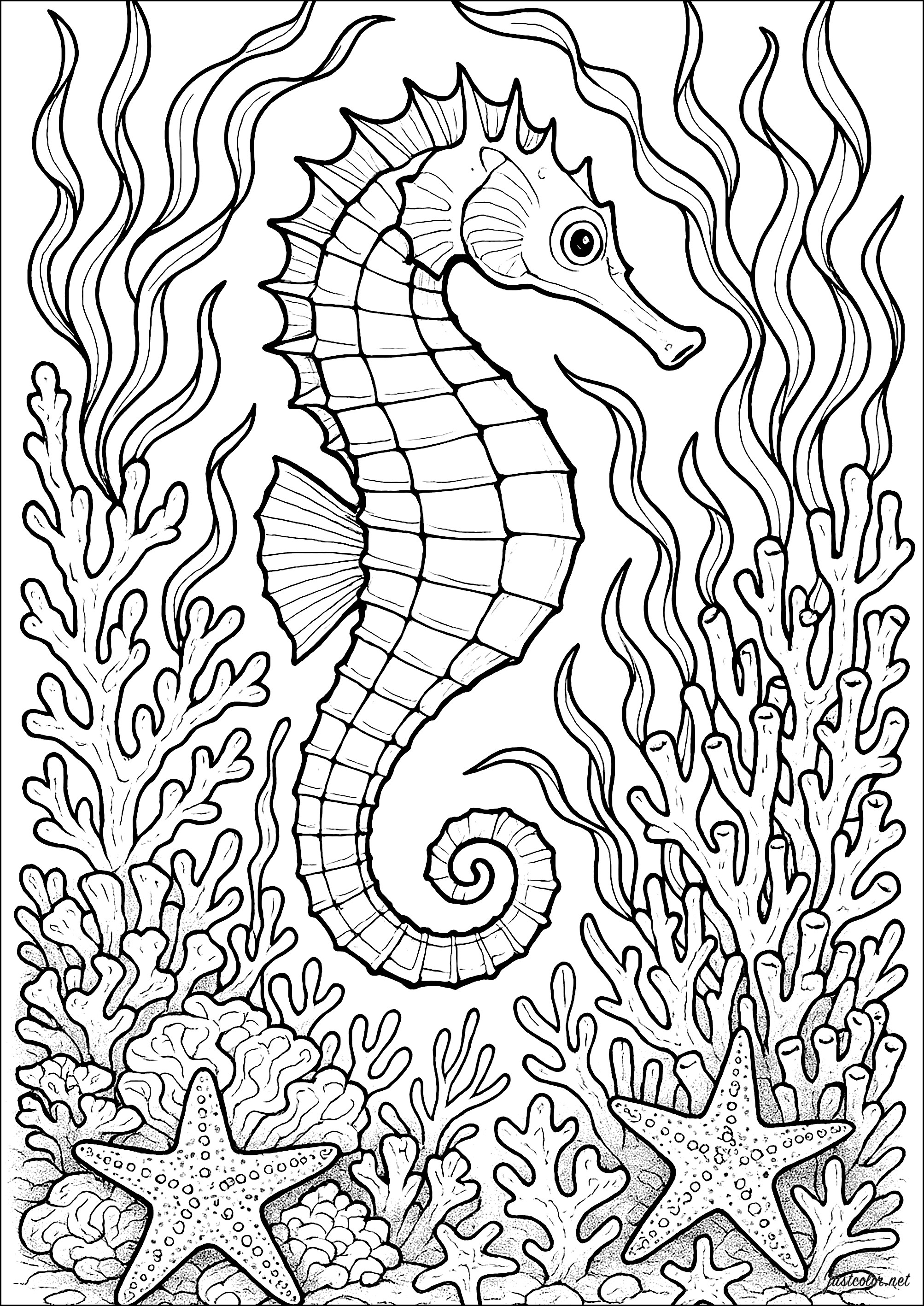 Cavalo marinho realista - Páginas de Sea creatures para colorir para  crianças, image size:2006x2834