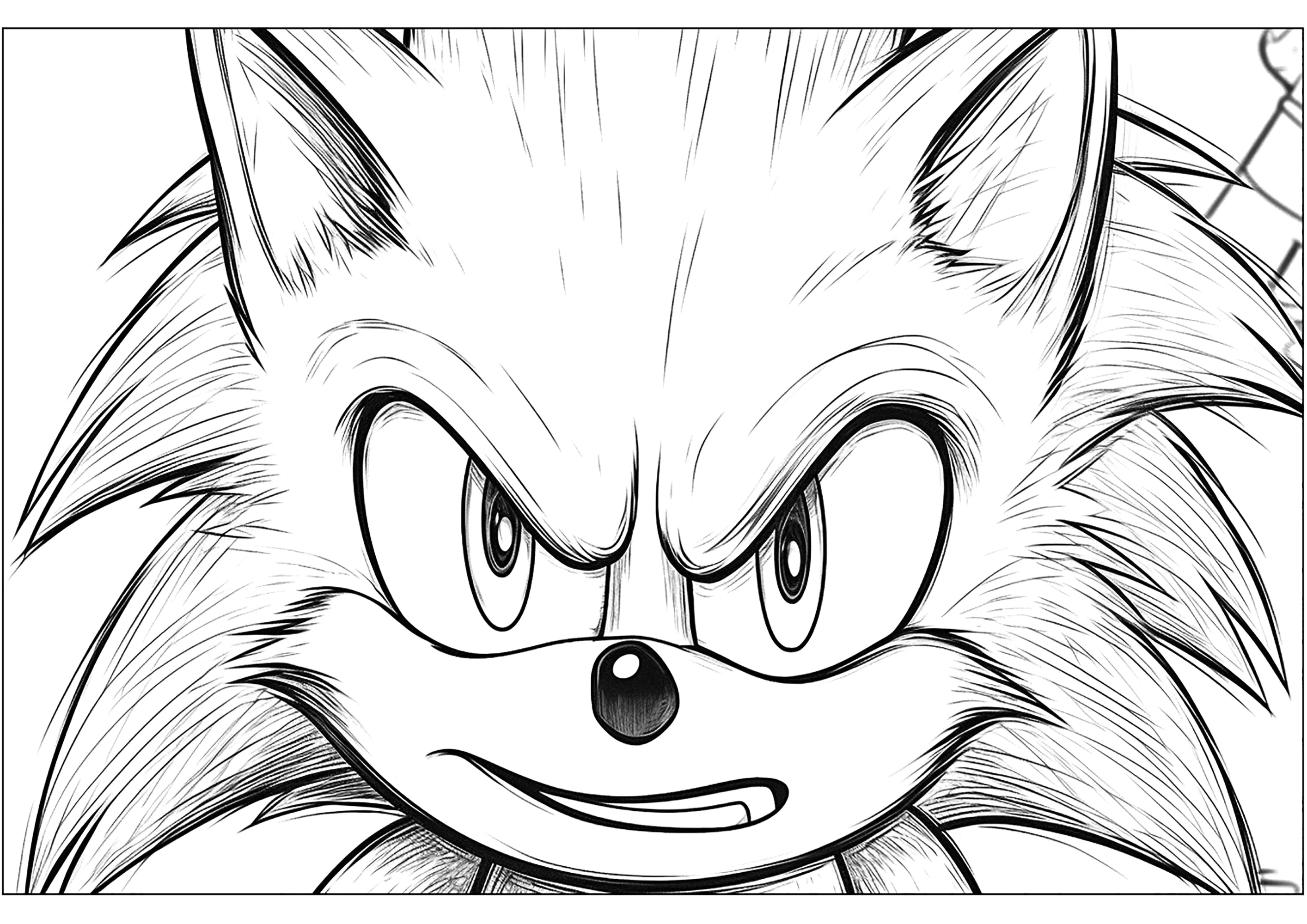 Vista frontal do Sonic (Página para colorir e imprimir para crianças)