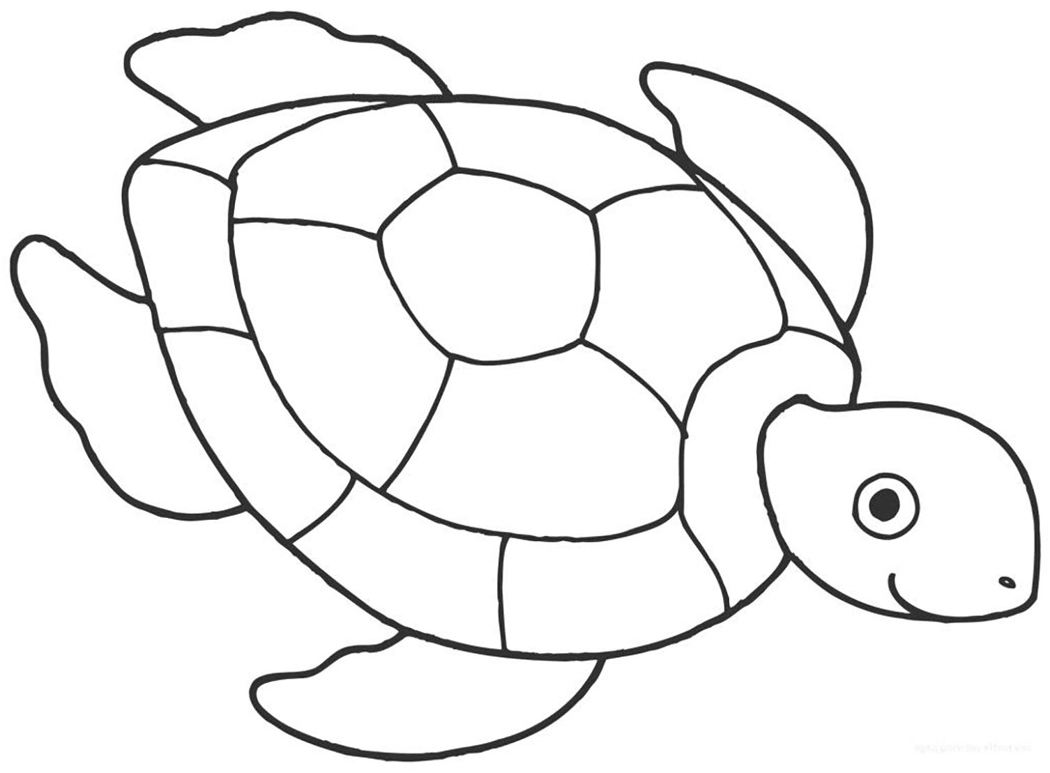 Coloração simples de tartaruga para crianças