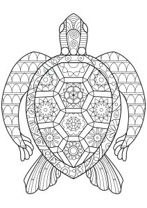 Tartaruga composta por formas geométricas