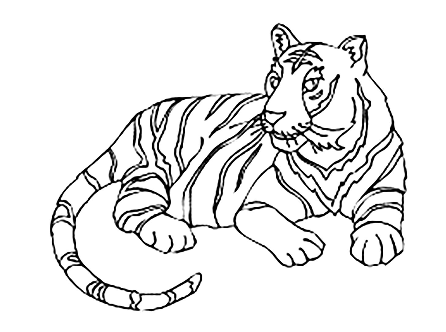 Uma bela coloração simples de tigre para crianças