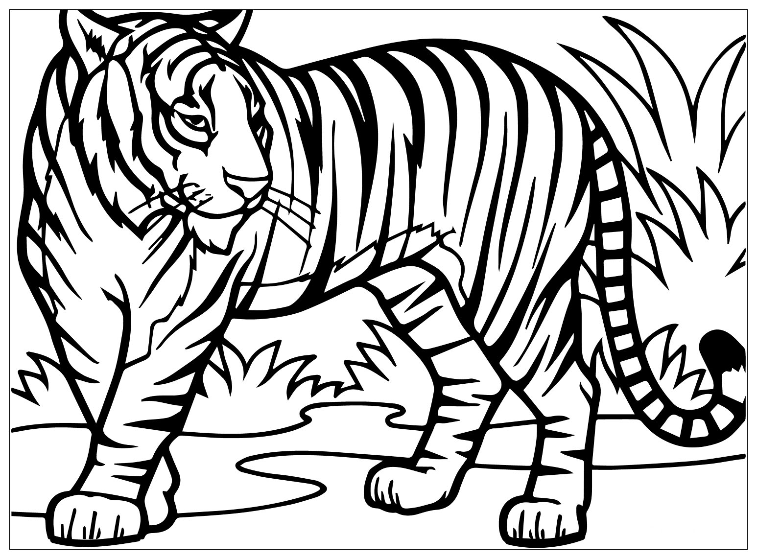 Uma bela coloração simples de tigre para crianças