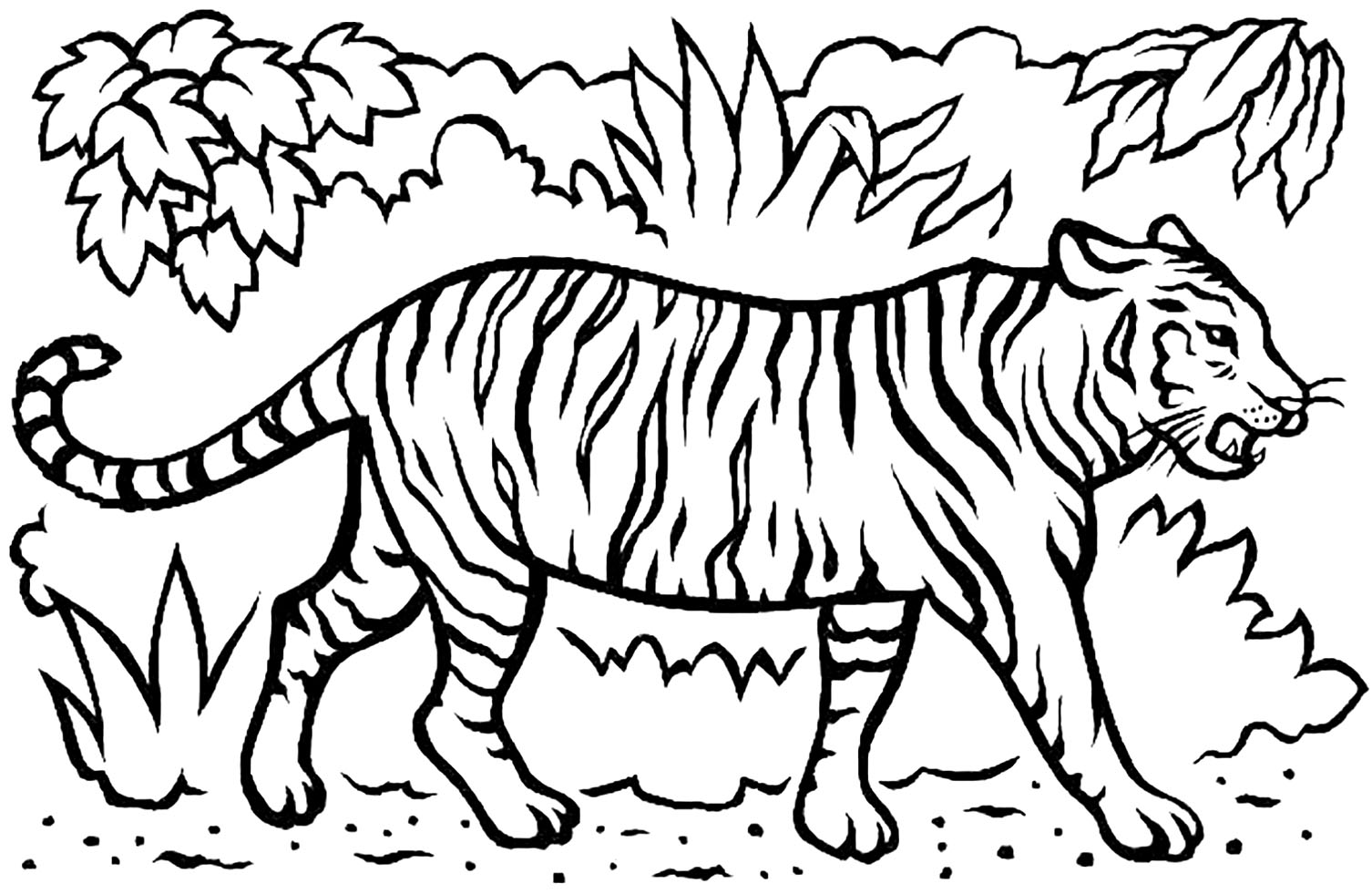 Desenho de Animais Para Colorir de Tigre - Adultos e Filhotes