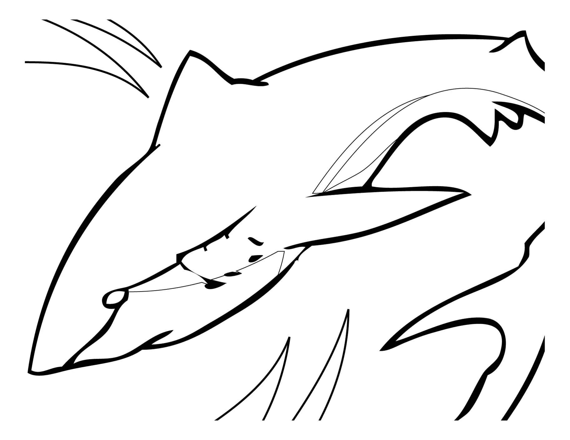 White shark (Página de Tubarões para colorir e imprimir para crianças)