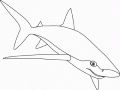 Desenho livre de tubarões para imprimir e colorir