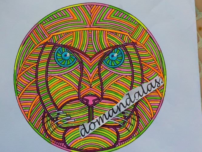 animaux