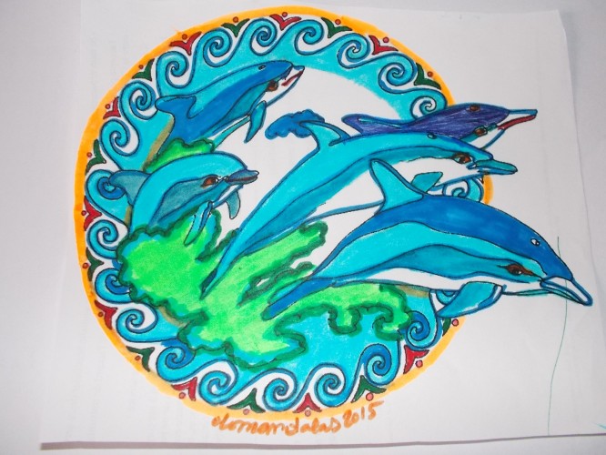 animaux