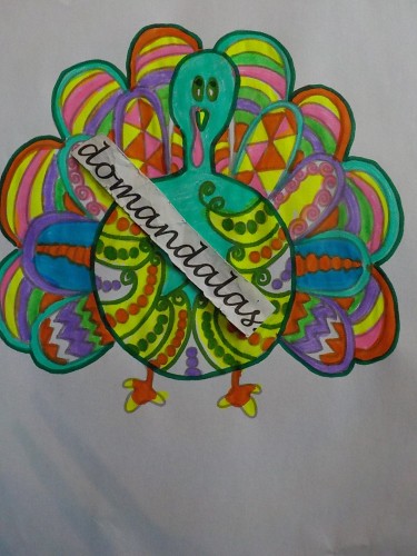 passaros