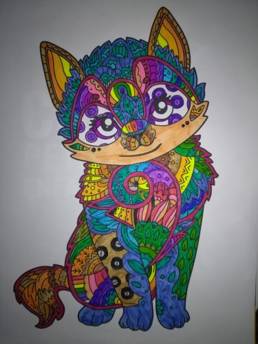 gatos