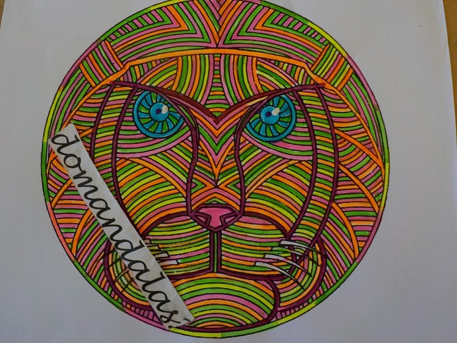 africa