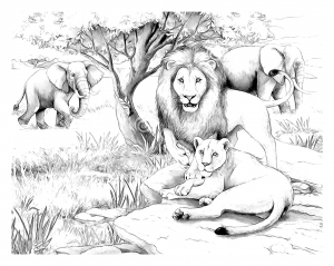 Die Familie der Löwen und Elefanten (Ausmalbild von Afrika)
