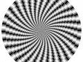 Malbuch Fur Erwachsene | JustColor : Anti-stress / Zen - 12 (Ausmalbild)