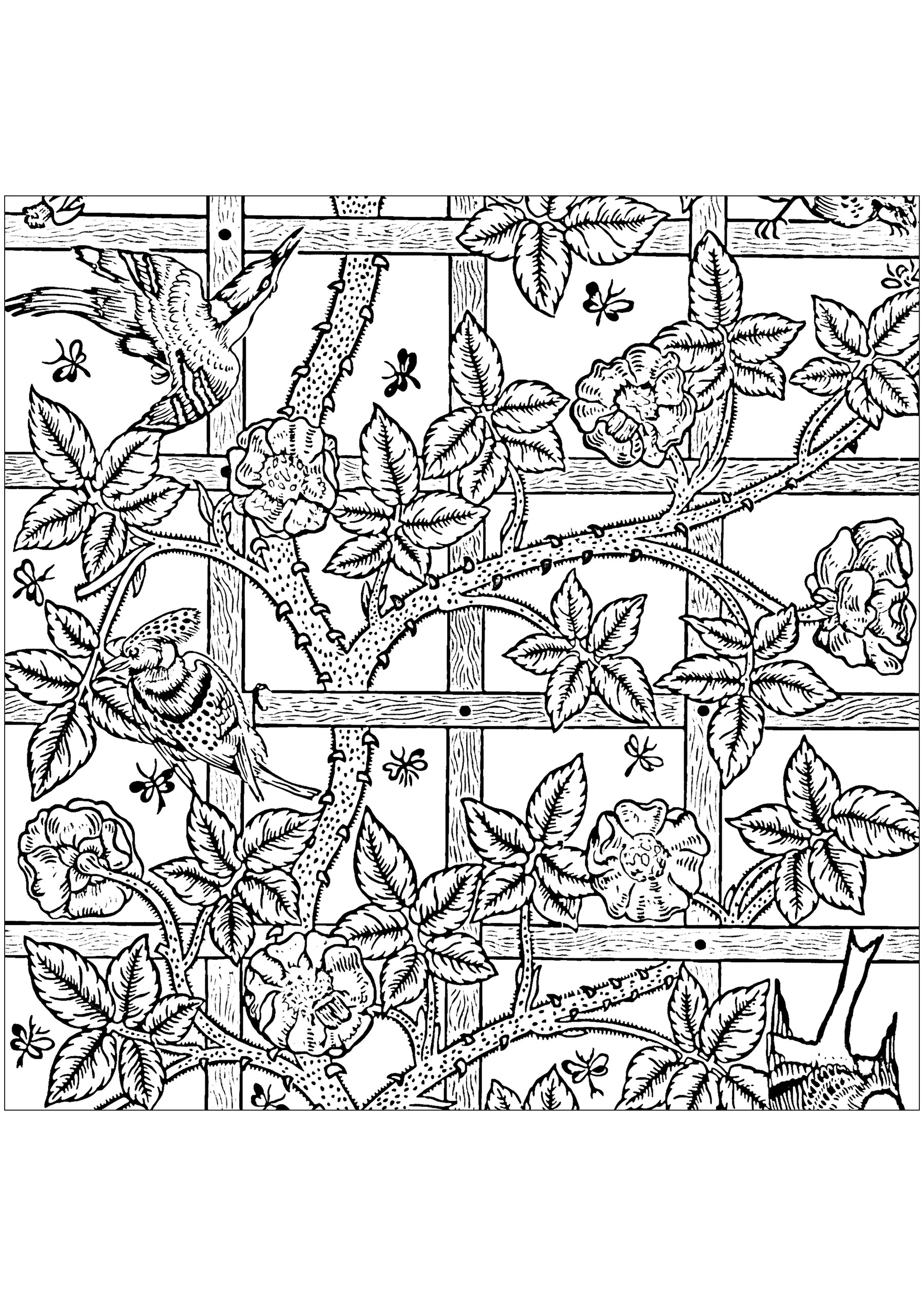Ausmalbild nach dem Tapetenmuster von William Morris: 'Trellis' aus dem Jahr 1864. In Großbritannien wird seit dem 16. Jahrhundert mit Mustern bedrucktes Papier für die Dekoration von Wänden verwendet. Im späten 19. Jahrhundert waren Tapeten in Wohnungen und öffentlichen Gebäuden weit verbreitet. William Morris entwarf eine Reihe von Tapeten mit sich wiederholenden Mustern, die auf natürlichen Formen und Tieren basierten.