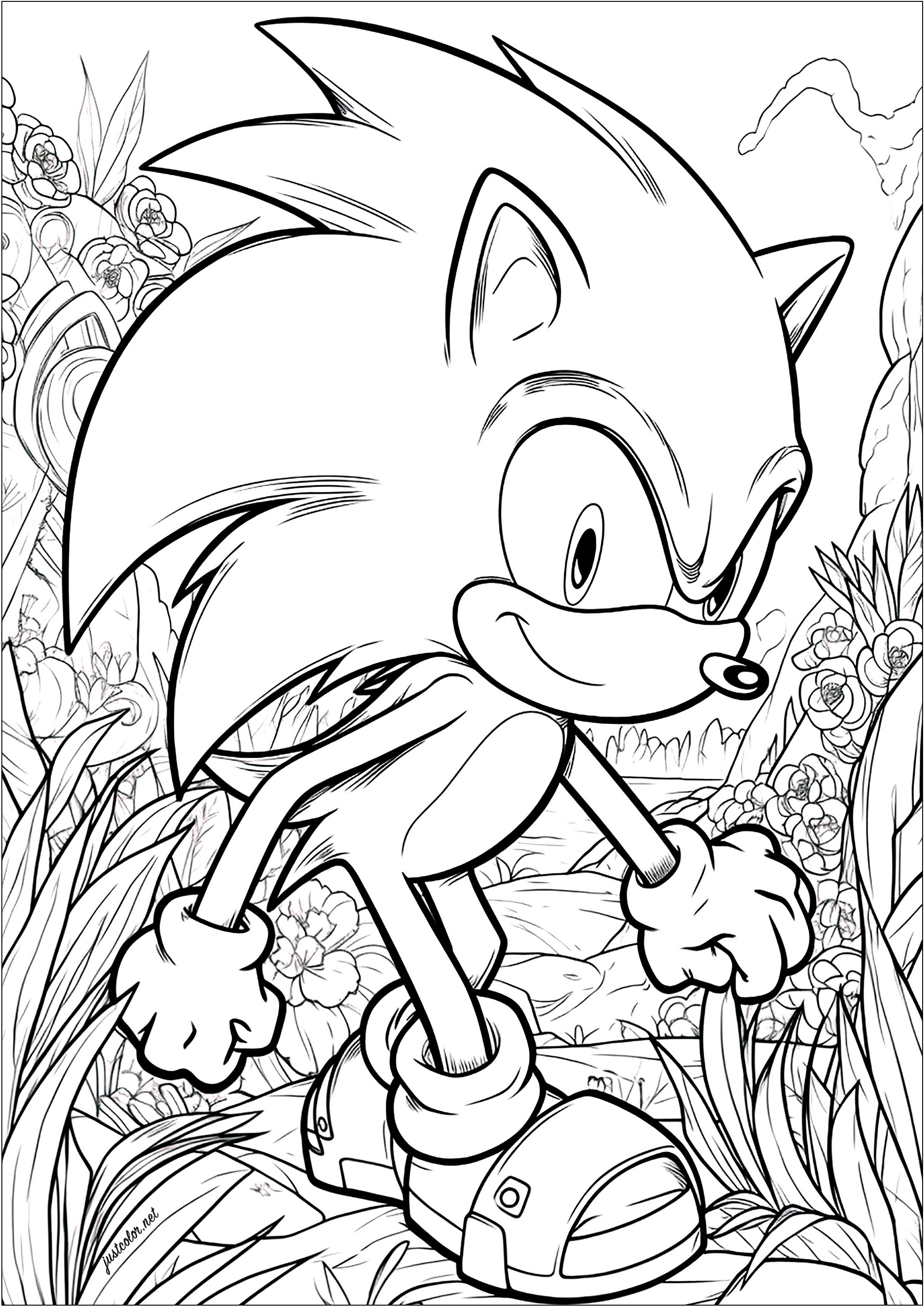 Komplexe Färbung von Sonic, mit floralem Hintergrund (Ausmalbild Rückkehr zur Kindheit zum Ausdrucken und Ausmalen für Erwachsene)
