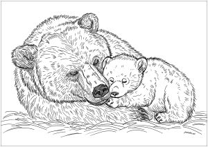 Mama Bär und ihr Baby
