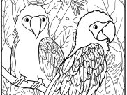 Ausmalbilder von Vögel zum Ausdrucken und Ausmalen für Erwachsene