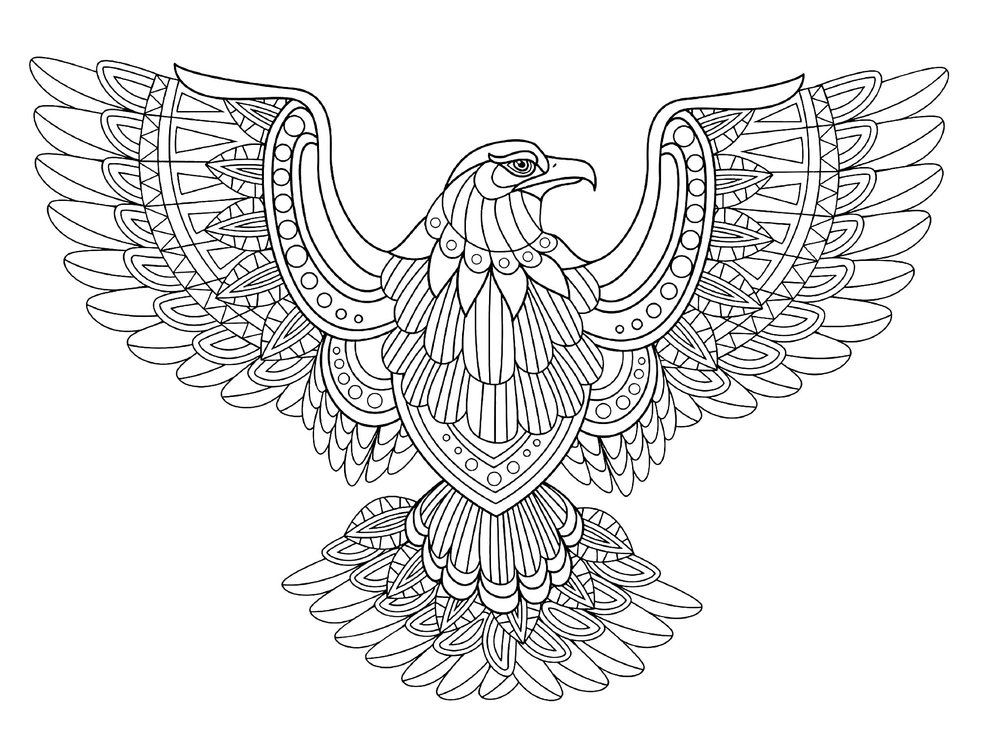 Fliegender Adler (Ausmalbild von Vögel zum Ausdrucken und Ausmalen für Erwachsene)