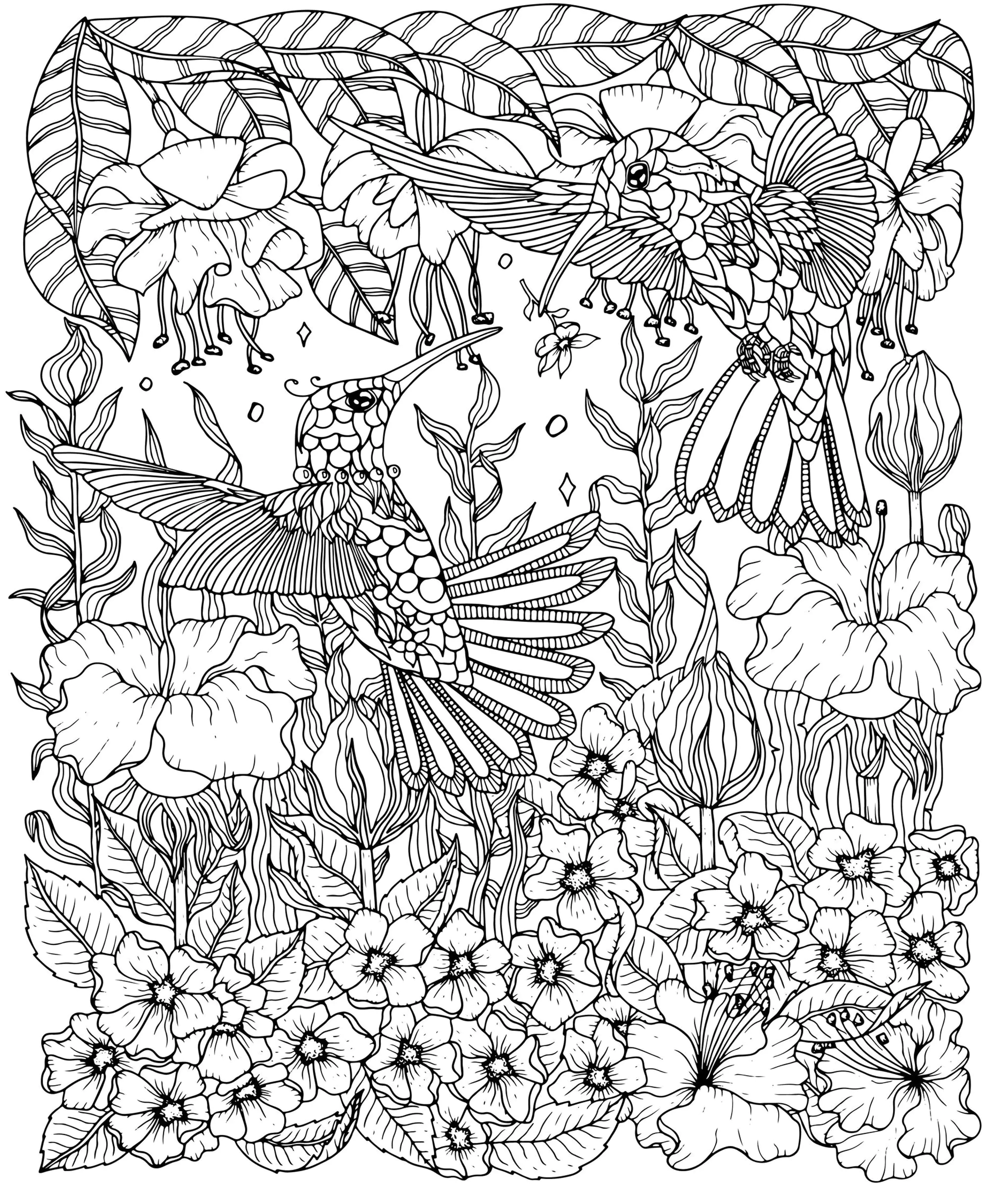 Kolibris und Blumen Färbung Seite (Ausmalbild von Vögel zum Ausdrucken und Ausmalen für Erwachsene)