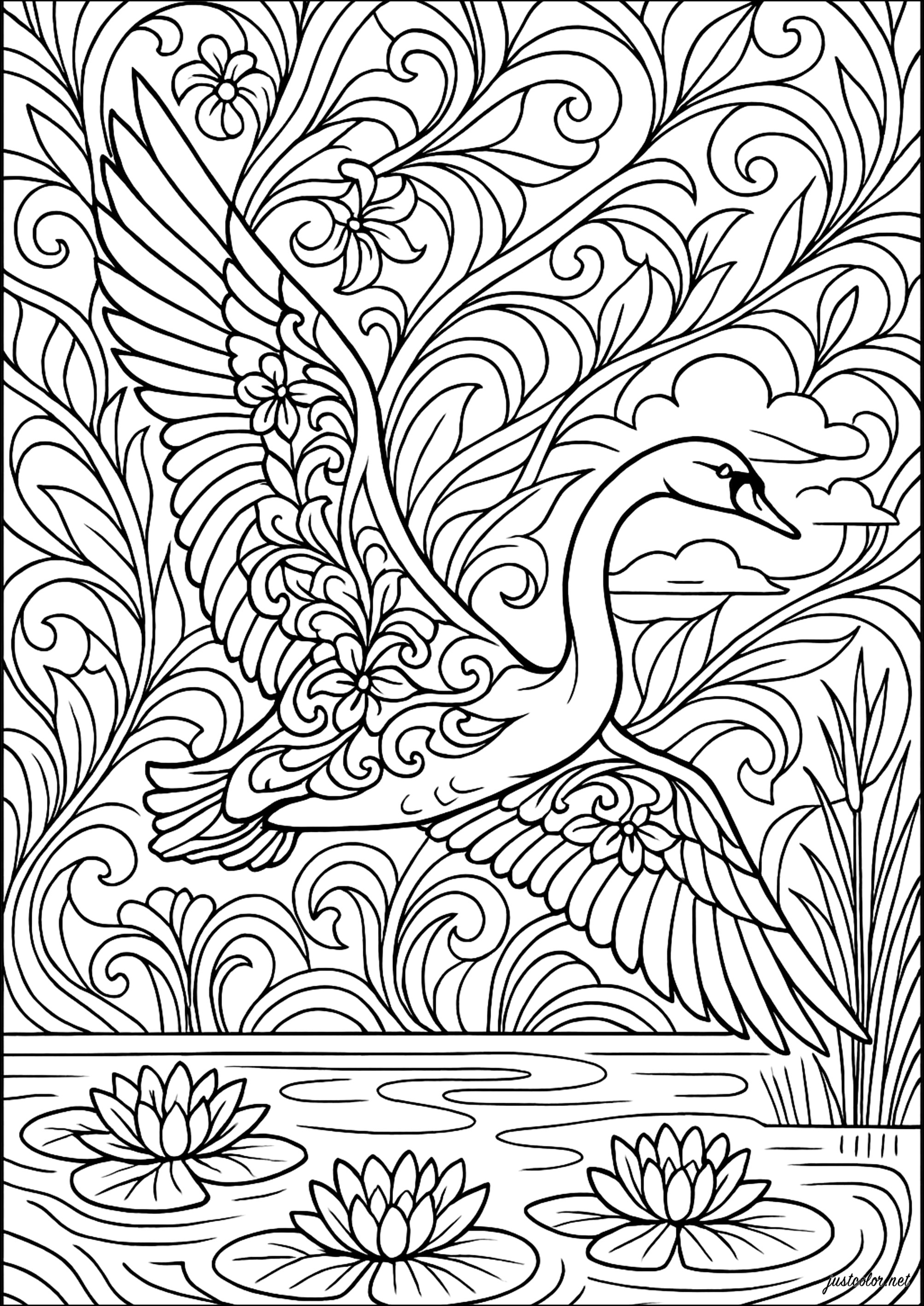 <span style="background-color: red; color: white;">Erreur cURL : Failed to connect to jywapi.justyourweb.fr port 443: Connection refused</span> (Ausmalbild von Vögel zum Ausdrucken und Ausmalen für Erwachsene)