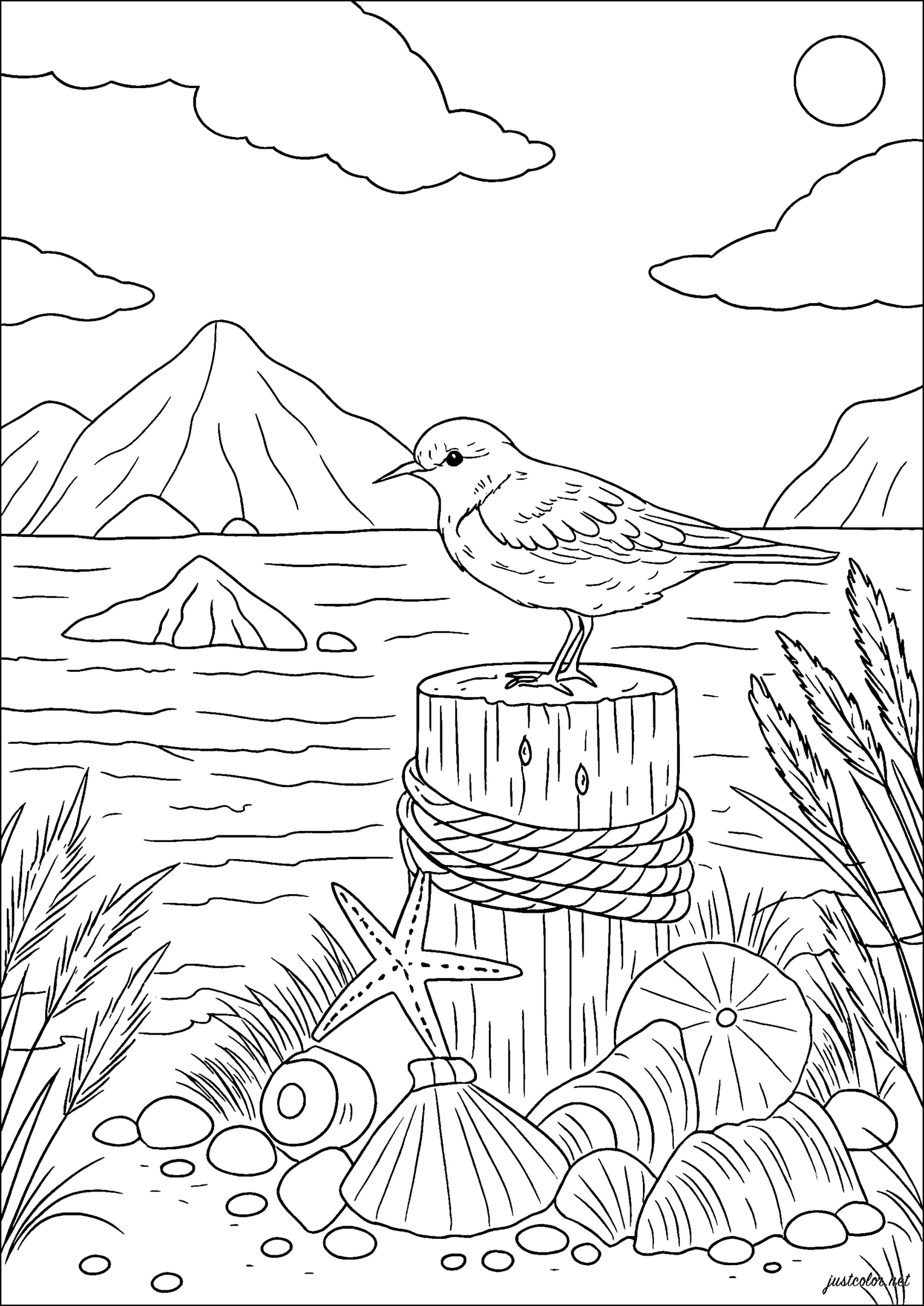 Friedlicher Vogel am Strand (Ausmalbild zum Ausdrucken und Ausmalen für Erwachsene)