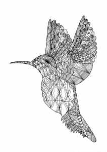Kolibri mit Färbung Muster (Ausmalbild von Vögel)