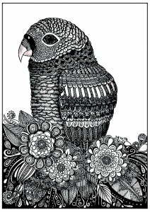 vogel-27457 (Ausmalbild)