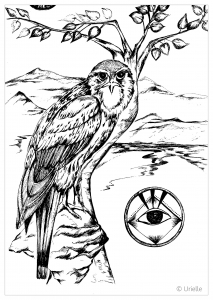 vogel-49373 (Ausmalbild)