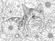 Ausmalbilder von Katzen zum Ausdrucken und Ausmalen für Erwachsene