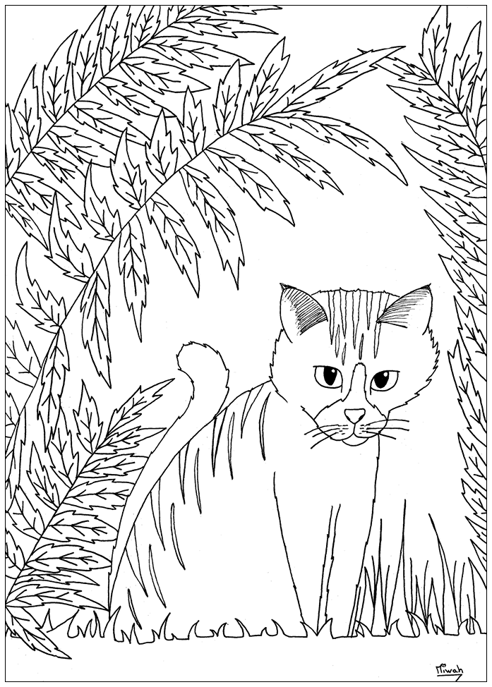 Malbuch Fur Erwachsene : Katzen - 1, Künstler : Miwah