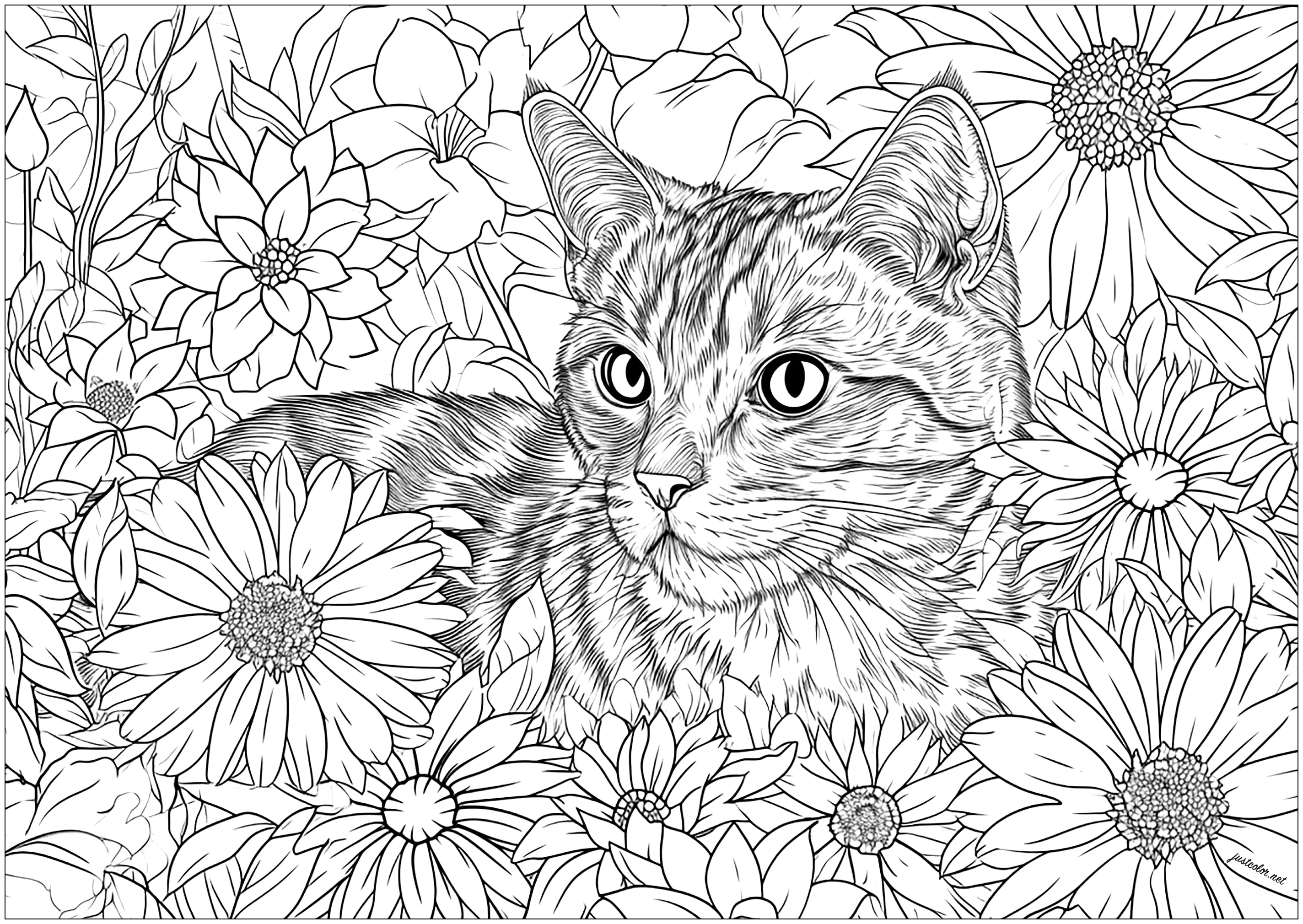 Eine hübsche, realistische Katze, mit vielen Blumen zum Ausmalen. (Katzen)