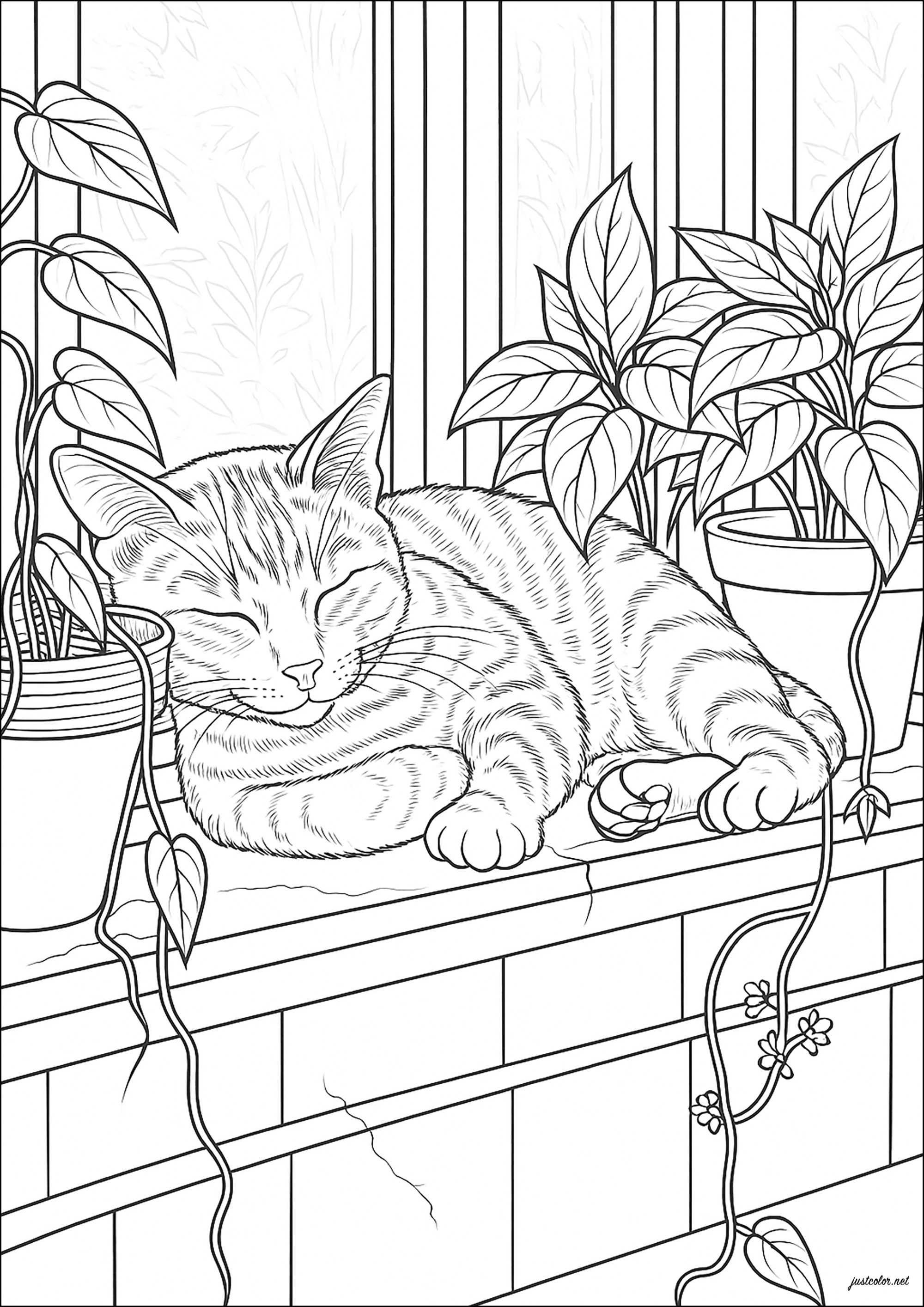 Schlafende Katze zwischen hübschen Zimmerpflanzen (Ausmalbild von Katzen zum Ausdrucken und Ausmalen für Erwachsene)