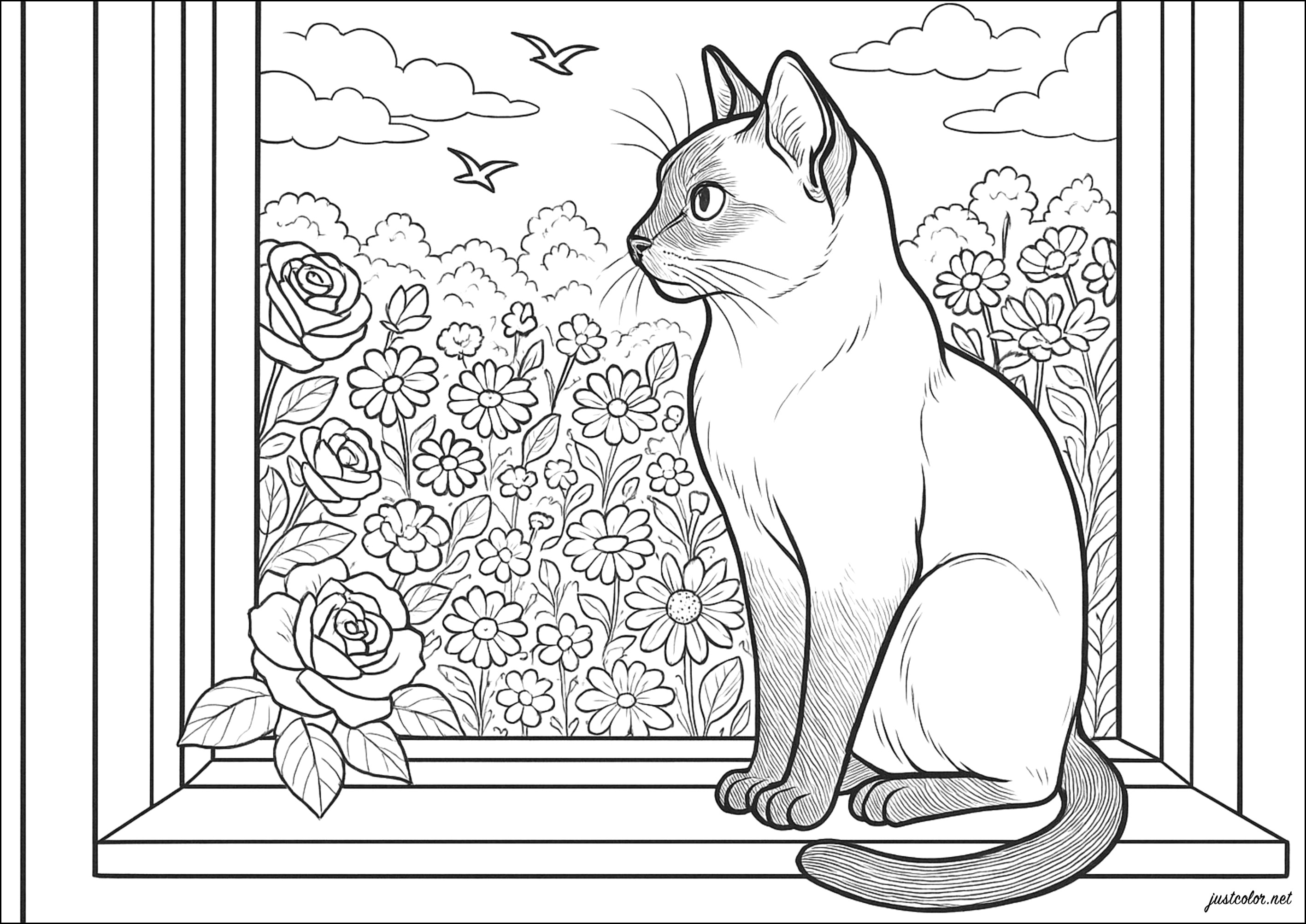 Siamkatze am Fenster (Ausmalbild von Katzen zum Ausdrucken und Ausmalen für Erwachsene)