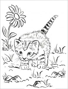 Kleine Katze spielt draußen (Ausmalbild von Katzen)