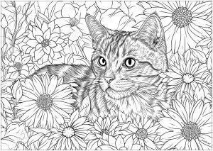 Eine hübsche, realistische Katze, mit vielen Blumen zum Ausmalen. (Ausmalbild von Katzen)