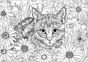 Unglaubliche Katze mit stechenden Augen, umgeben von Blumen (Ausmalbild von Katzen)