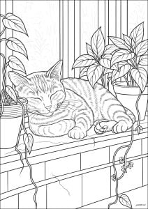 Schlafende Katze zwischen hübschen Zimmerpflanzen (Ausmalbild von Katzen)