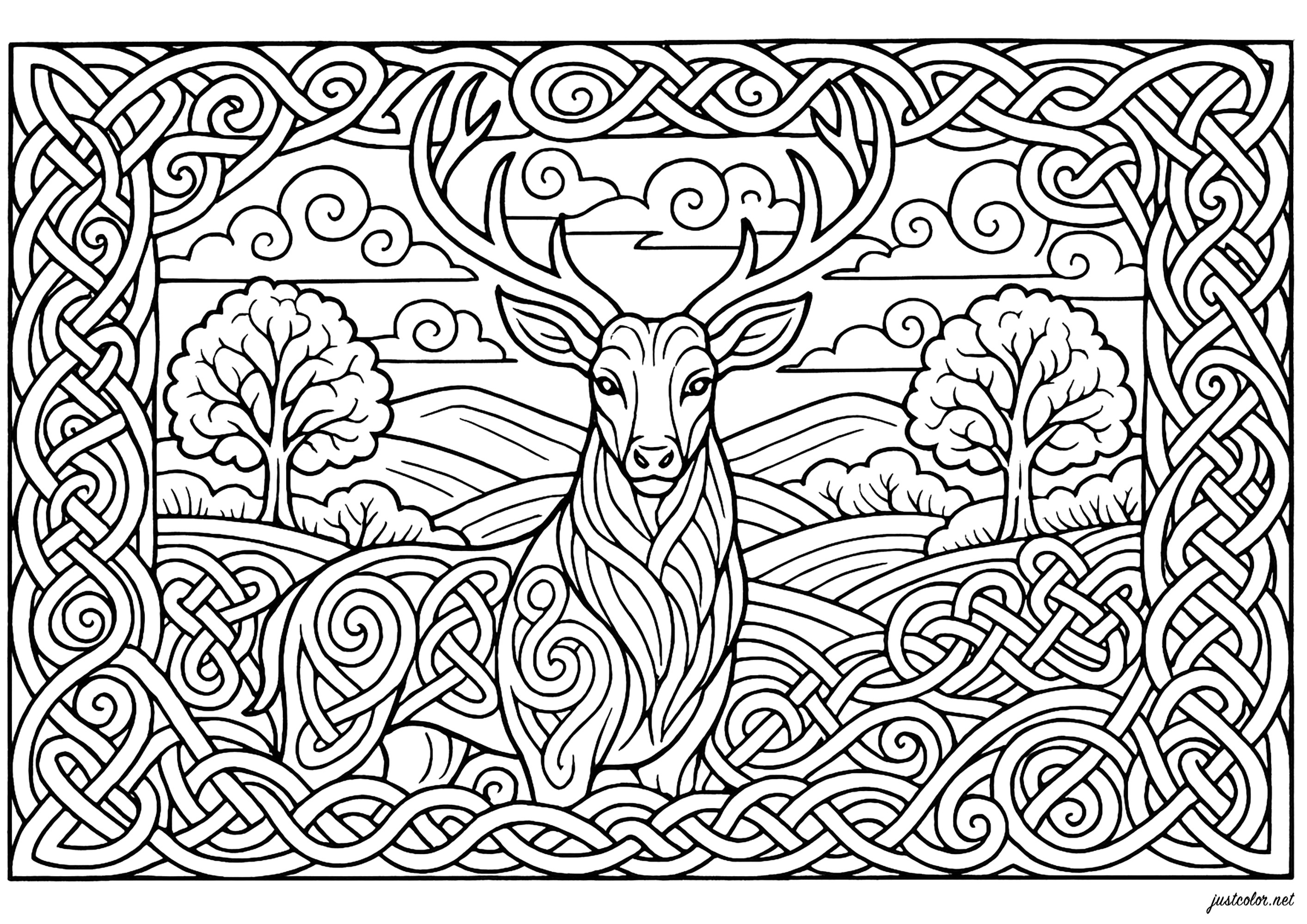 Keltischer Hirsch (Ausmalbild von Keltische Kunst zum Ausdrucken und Ausmalen für Erwachsene)