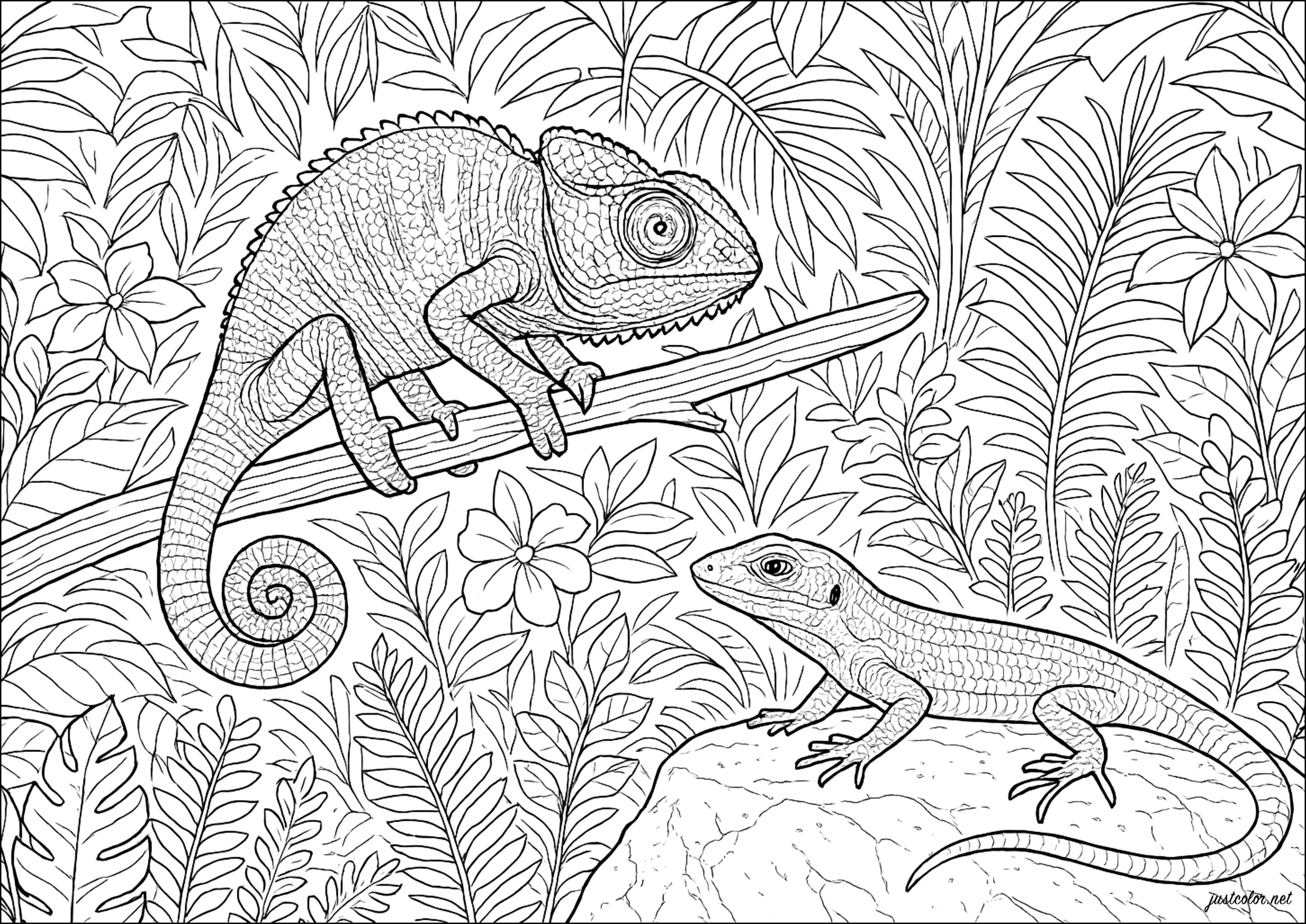Tropisches Duo (Ausmalbild von Chamäleons Und Eidechsen zum Ausdrucken und Ausmalen für Erwachsene)