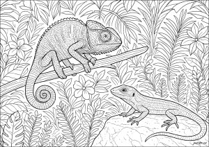Tropisches Duo (Ausmalbild von Chamäleons Und Eidechsen)