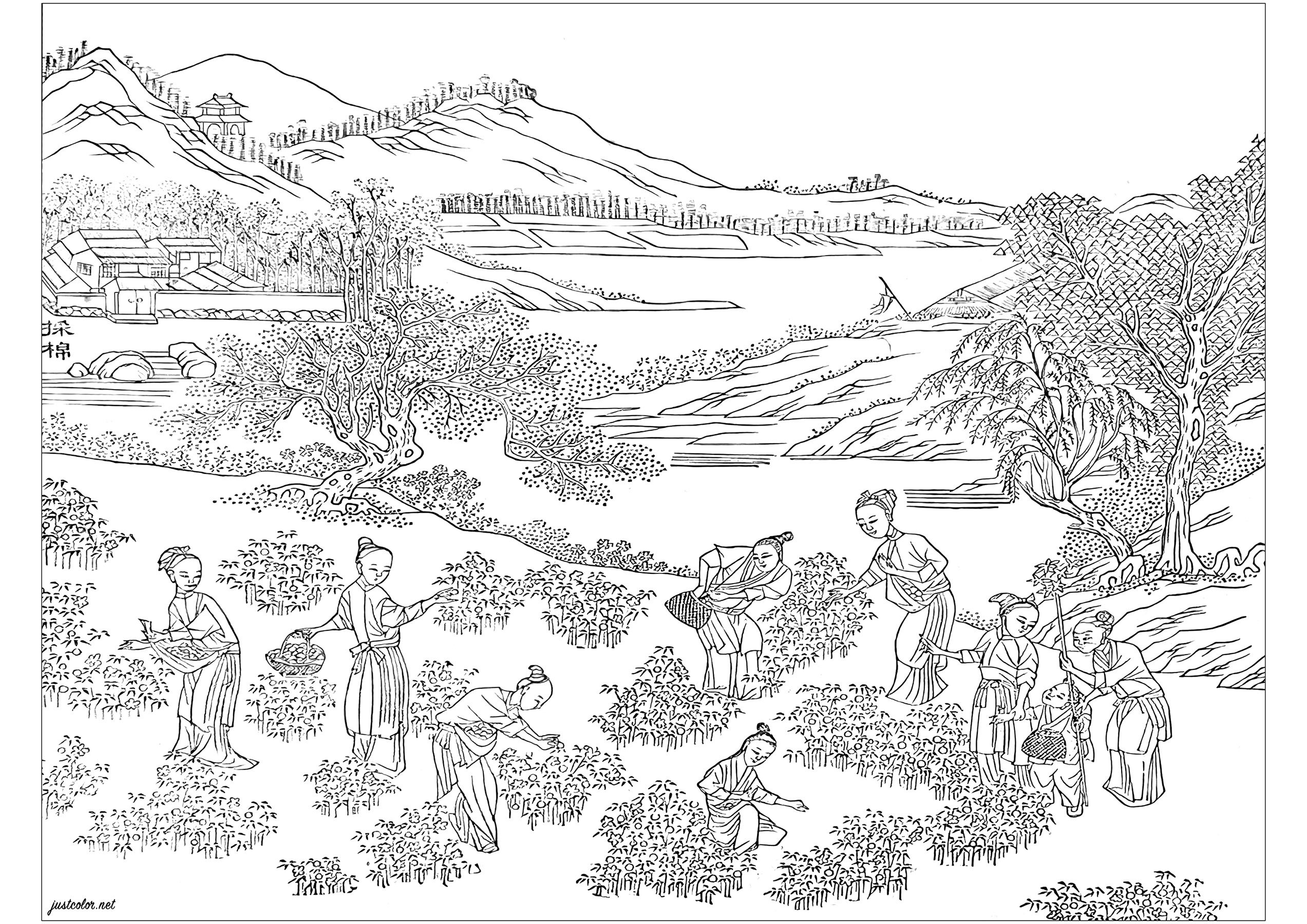 Ausmalbild nach einer illustrierten Seite aus dem Album 'Images illustrant une production de coton' (1765). Dieses Album wurde produziert, um die neuesten Technologien im Baumwollanbau und in der Textilproduktion im China des 18. Jahrhunderts zu fördern. Das Buch ist in der Chester Beatty Library in Dublin, Irland, ausgestellt, Künstler : Olivier