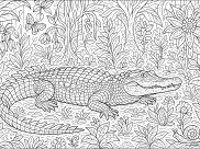 Ausmalbilder von Krokodil zum Ausdrucken und Ausmalen für Erwachsene
