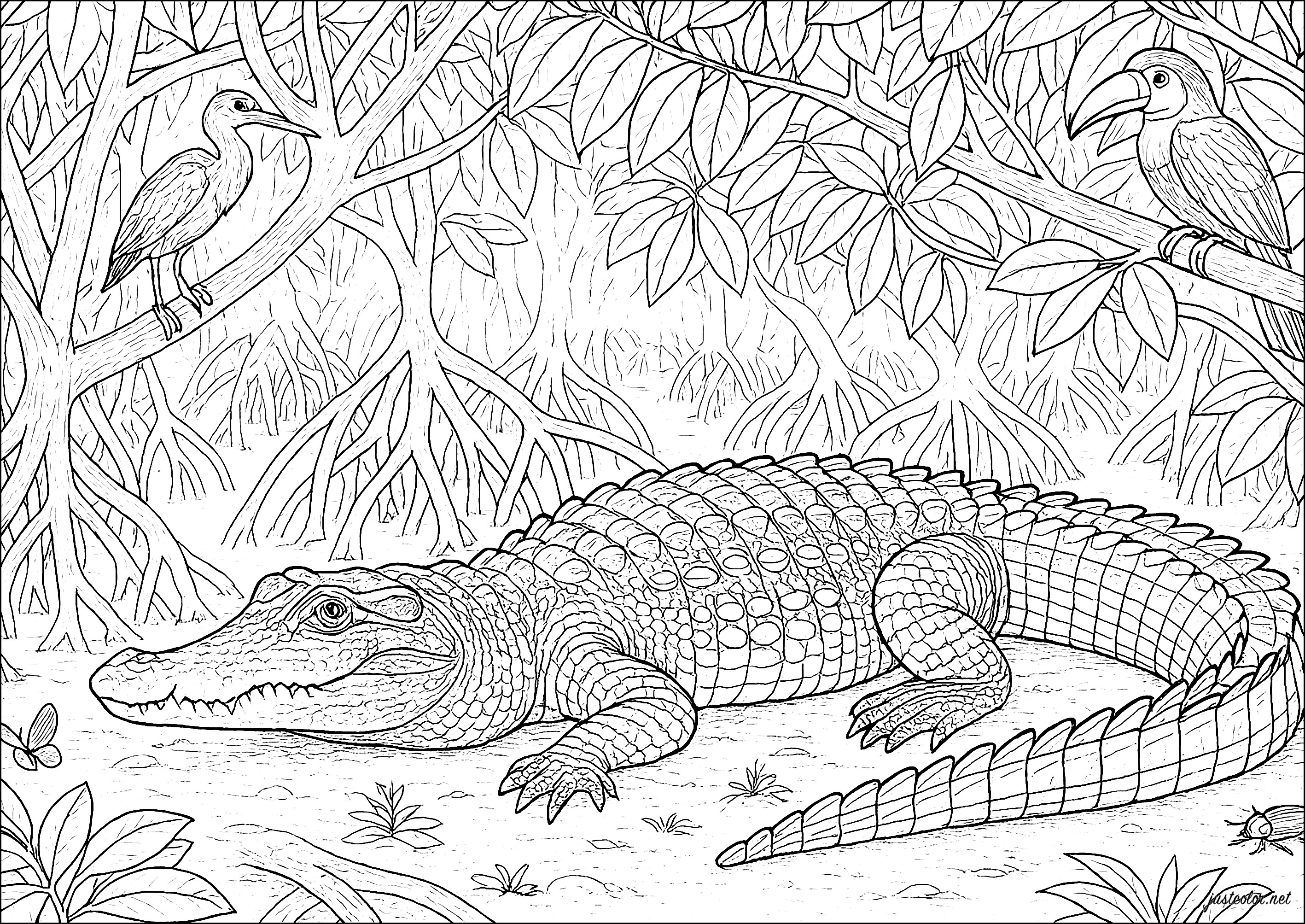 Eine wilde Begegnung im Herzen der Natur (Ausmalbild von Krokodil zum Ausdrucken und Ausmalen für Erwachsene)
