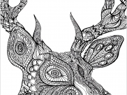 Rehe