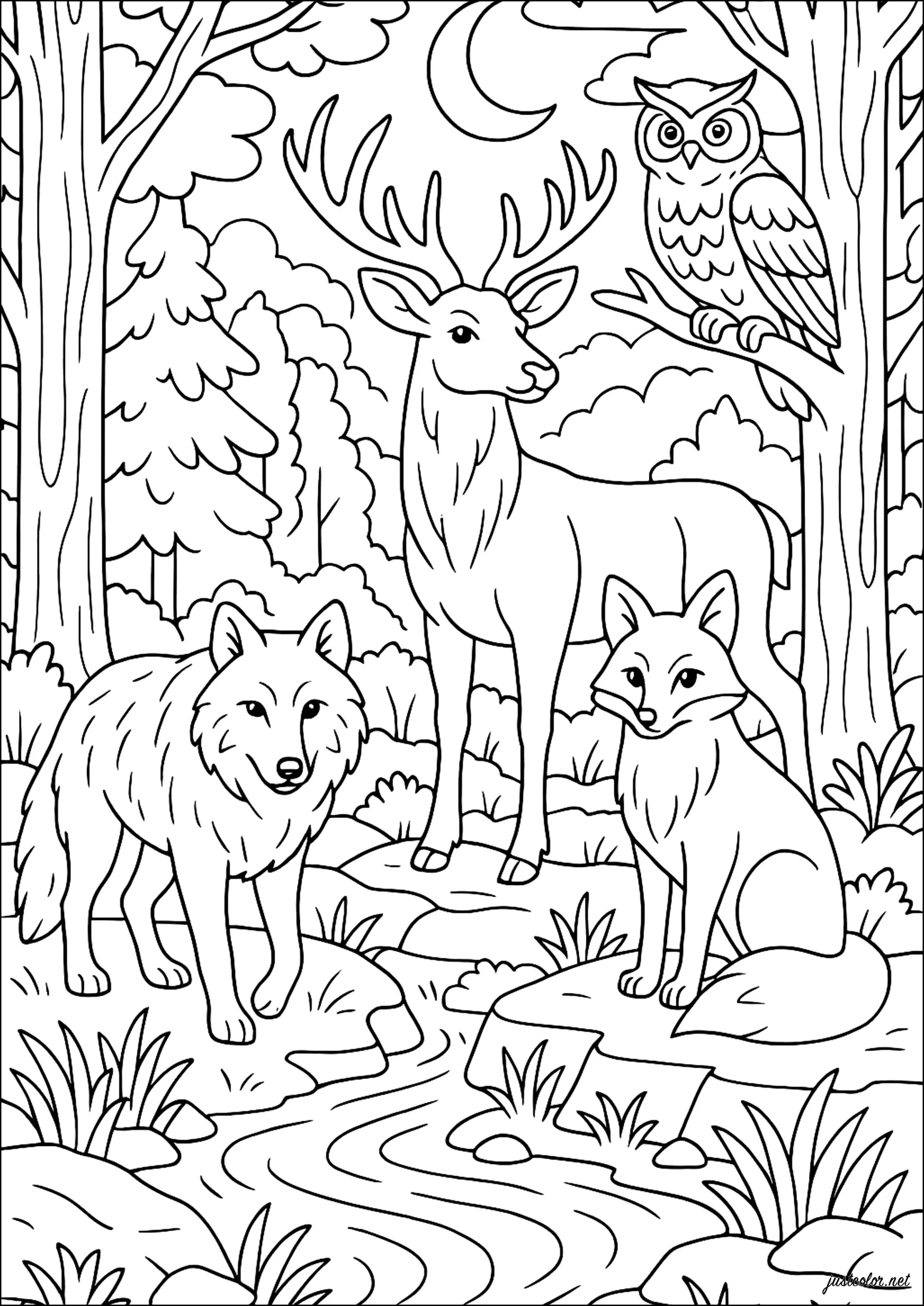 Rehe-42912 (Ausmalbild zum Ausdrucken und Ausmalen für Erwachsene)