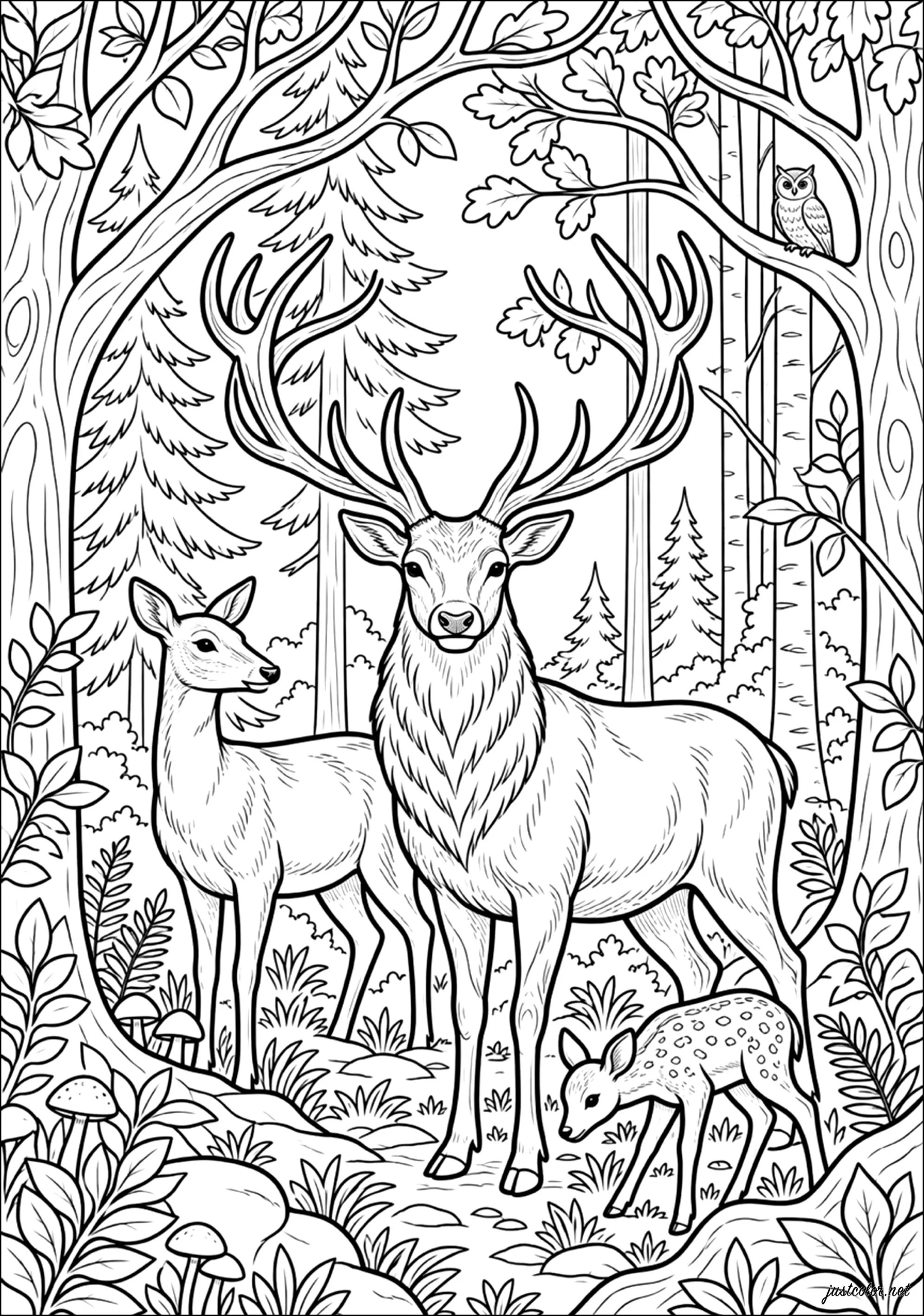 Rehe-88176 (Ausmalbild zum Ausdrucken und Ausmalen für Erwachsene)