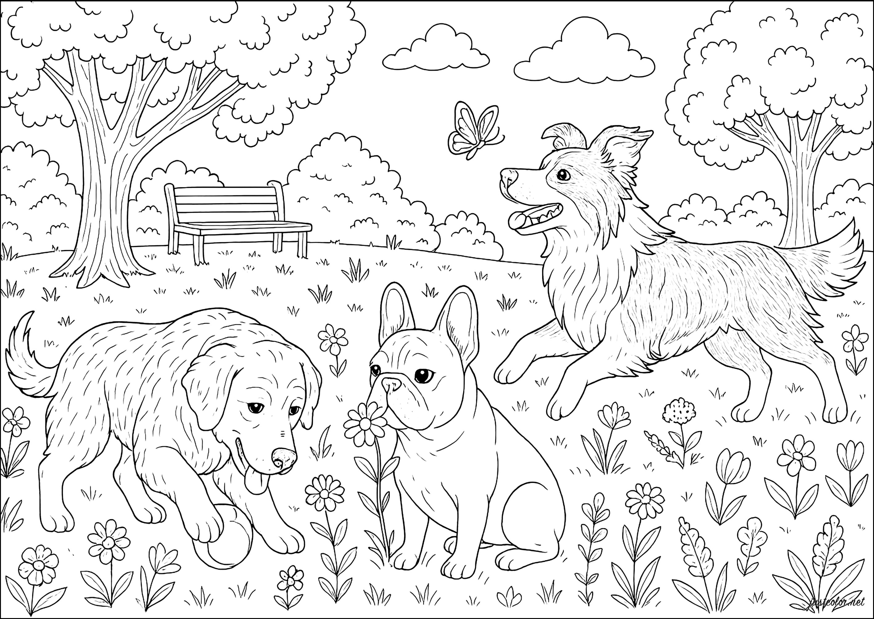 Hunde-76423 (Ausmalbild zum Ausdrucken und Ausmalen für Erwachsene)