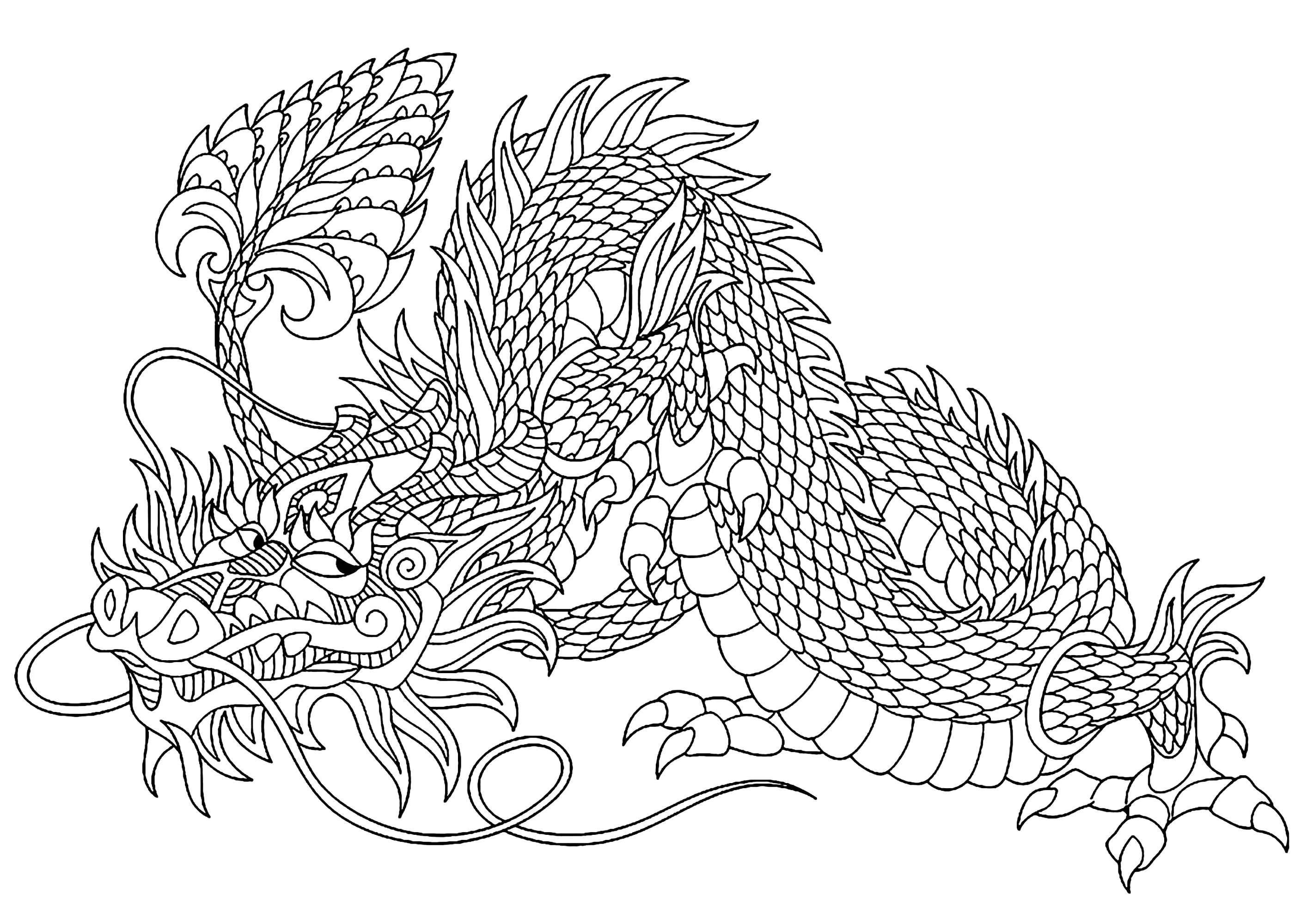 Drachen-52548 (Ausmalbild von Sybirko zum Ausdrucken und Ausmalen für Erwachsene)