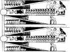 Malbuch Fur Erwachsene | JustColor : Ägypten und Hieroglyphen - 1 (Ausmalbild von Ägypten und Hieroglyphen)