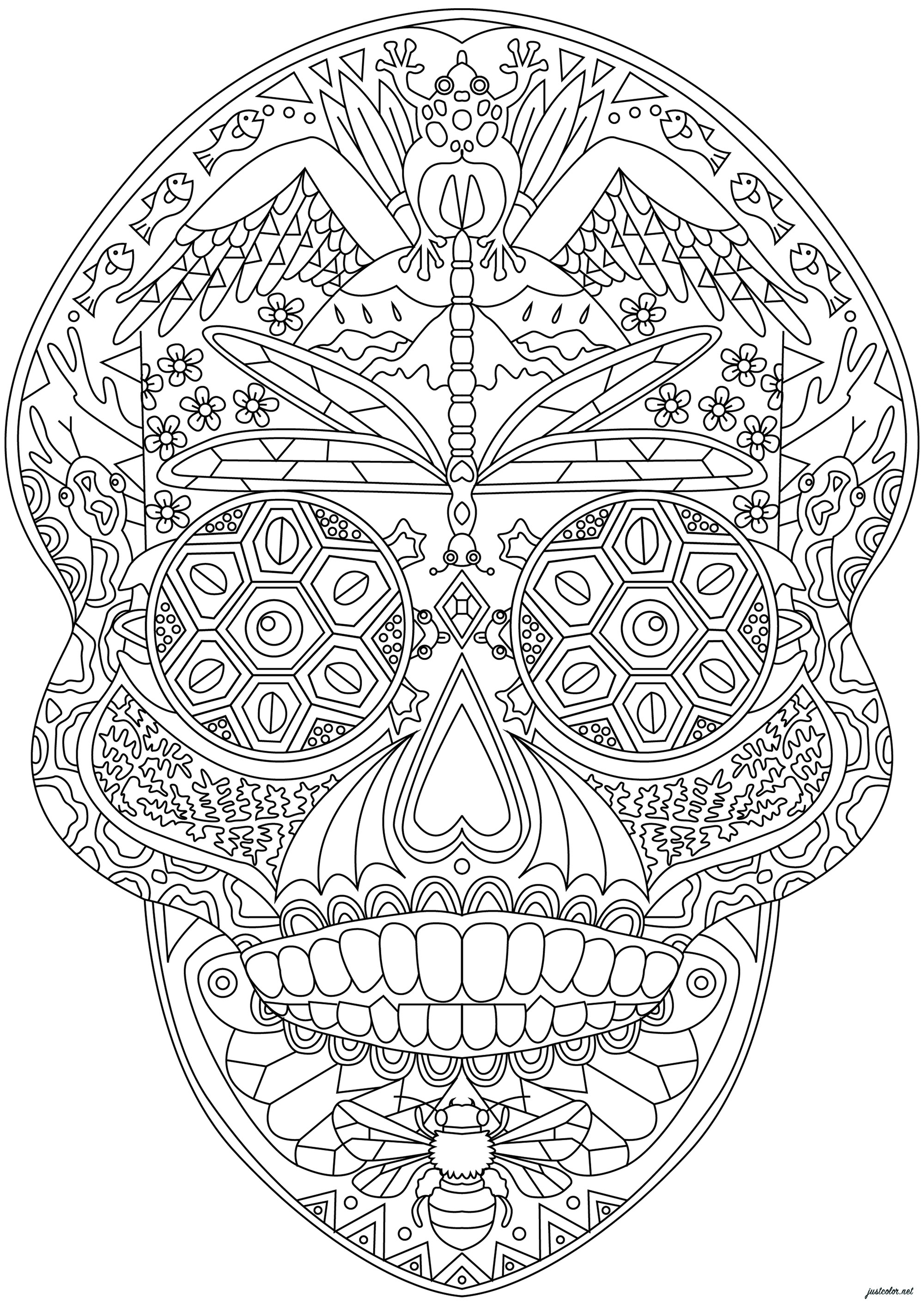 Schädel verziert mit zahlreichen komplexen Mustern (Ausmalbild von El Dia De Los Muertos zum Ausdrucken und Ausmalen für Erwachsene)